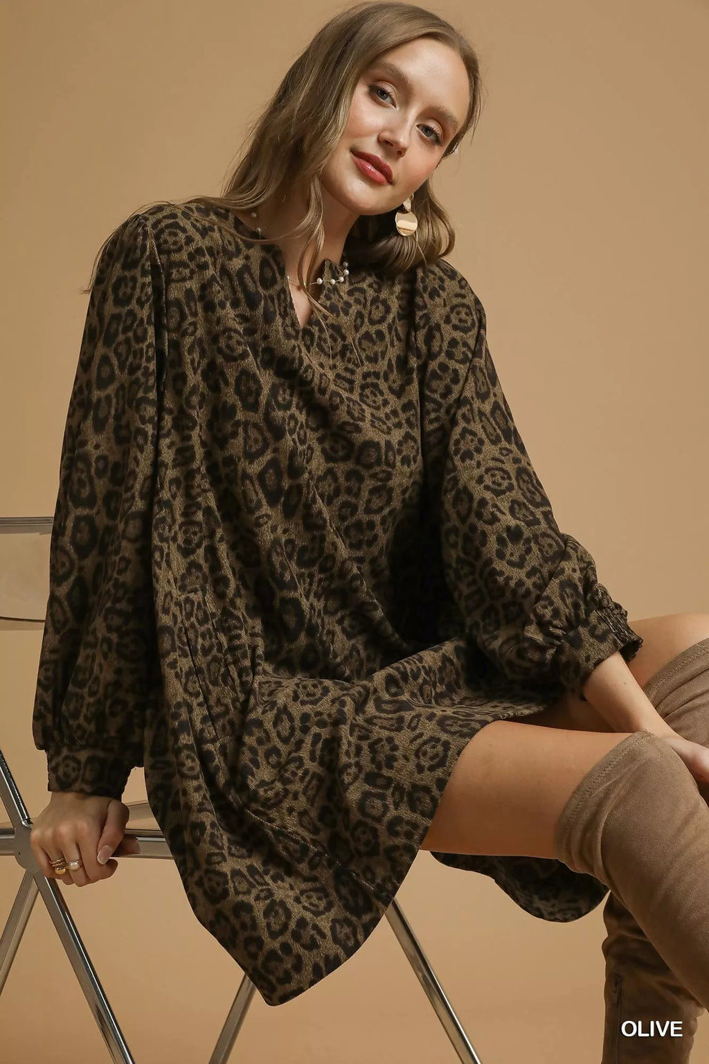 Leopard Print Long Sleeve Swing Dress