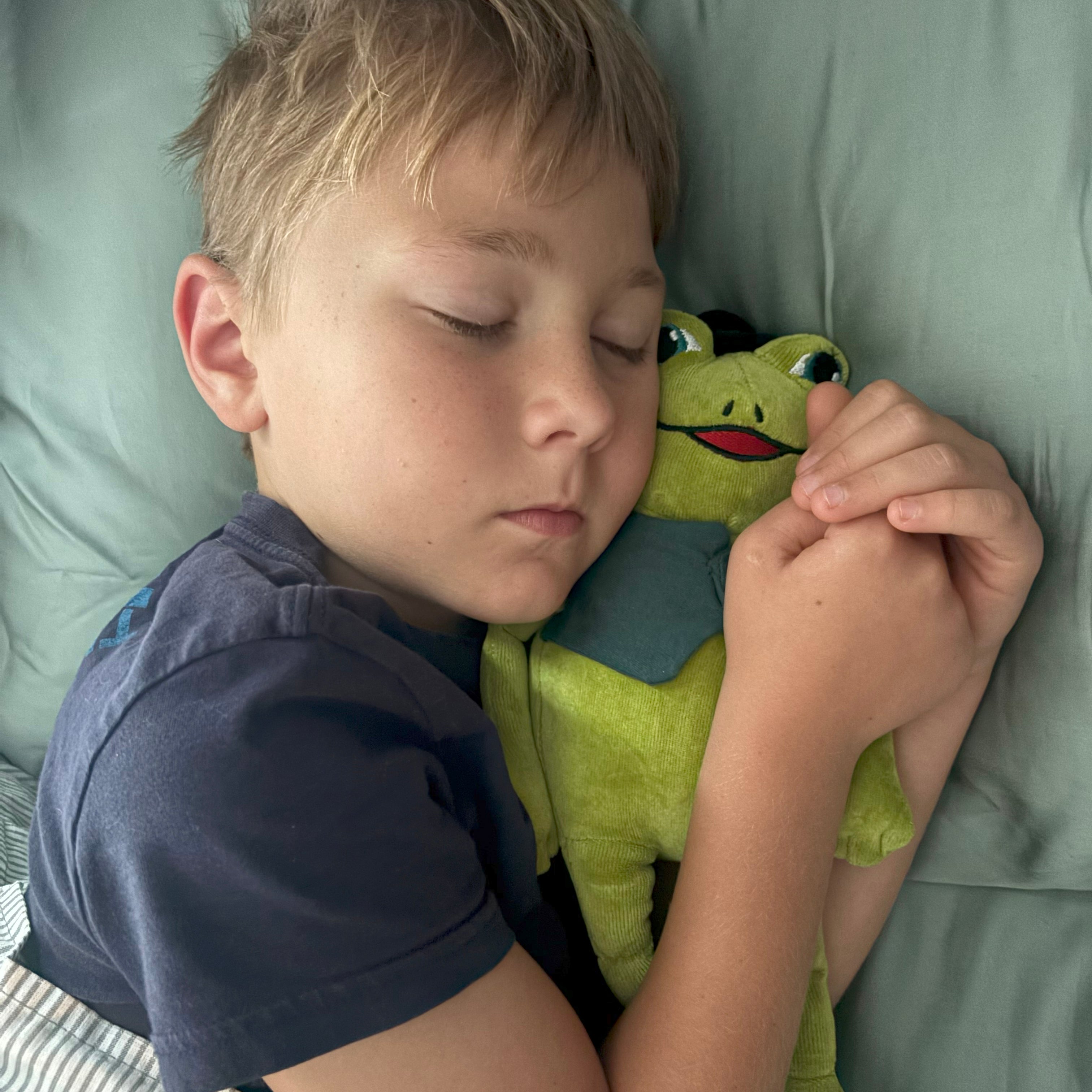 Frog: Into the Skies, Book Seven & Organic Cotton Frog Plushie