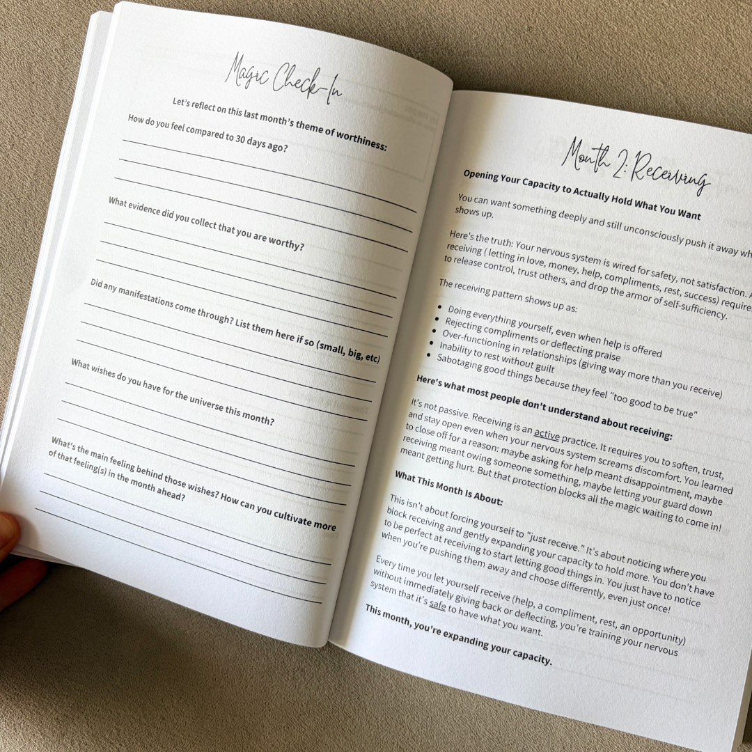 (more) Magic: Manifestation Scripting Journal