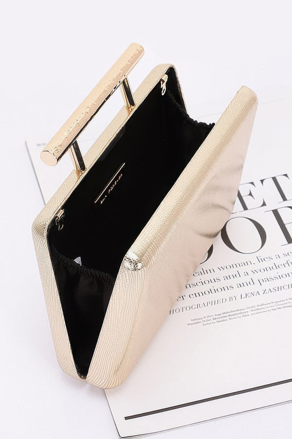 Metal Handle Top Case Clutch