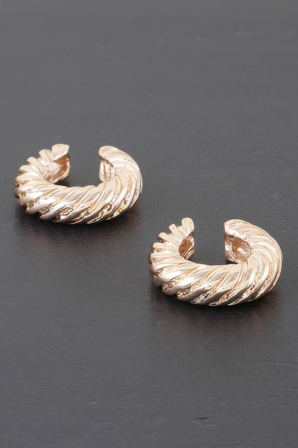 Twisted Rope Hoop Earrings