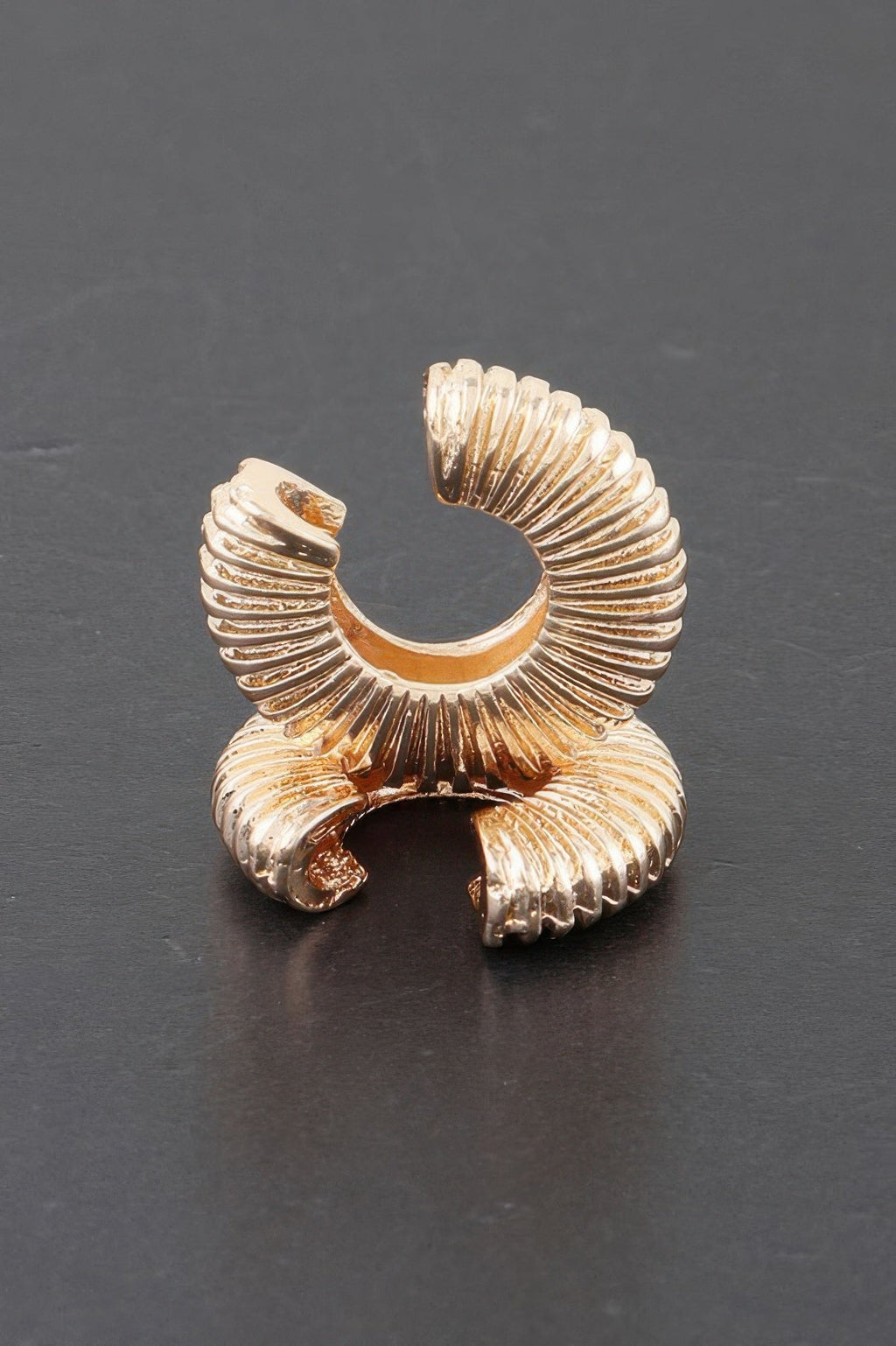 Spiral Earrings