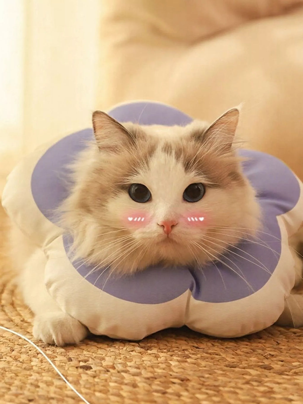 Pet Post-Op Anti-Lick Soft Flower-Shaped Elizabeth Collar