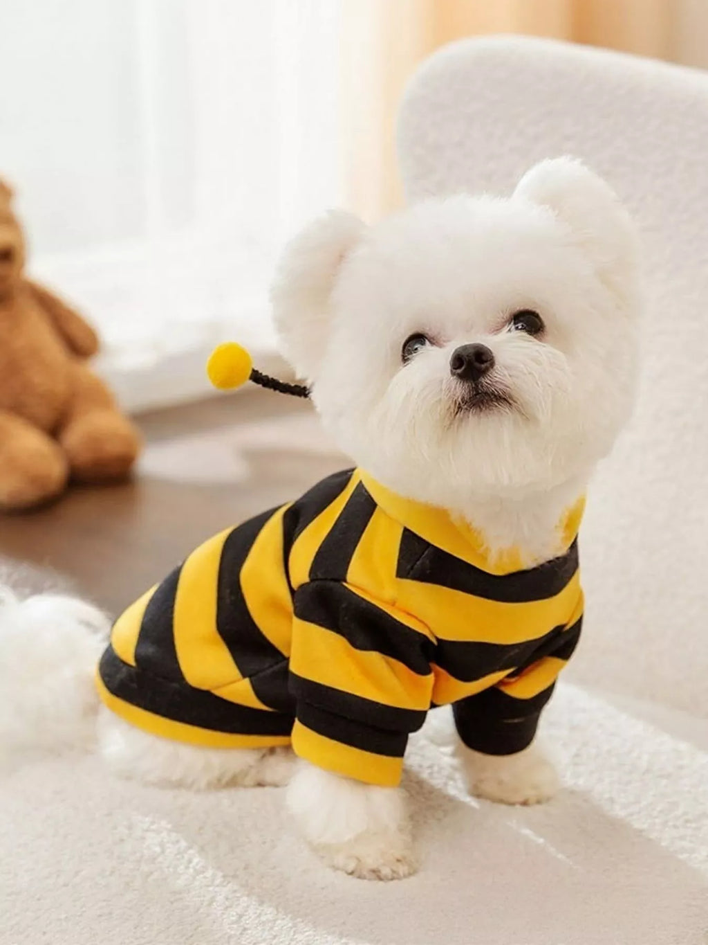 Soft Warm Pet Hoodie