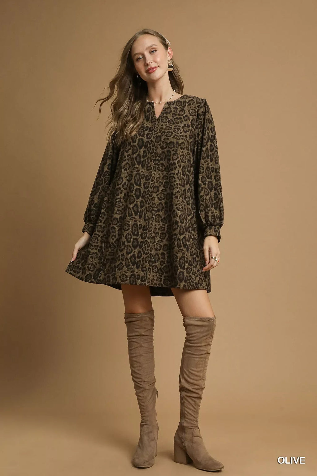 Leopard Print Long Sleeve Swing Dress