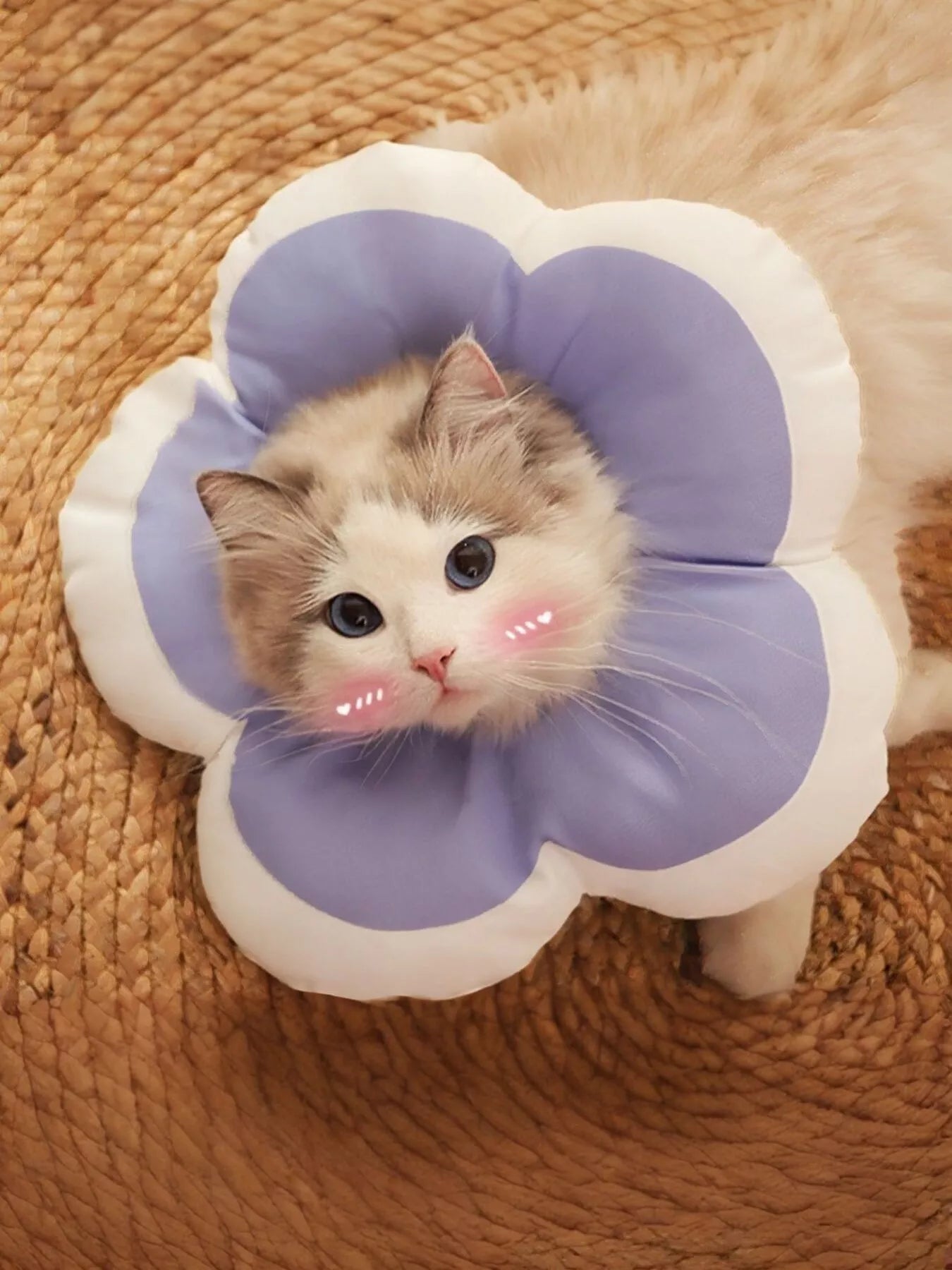 Pet Post-Op Anti-Lick Soft Flower-Shaped Elizabeth Collar