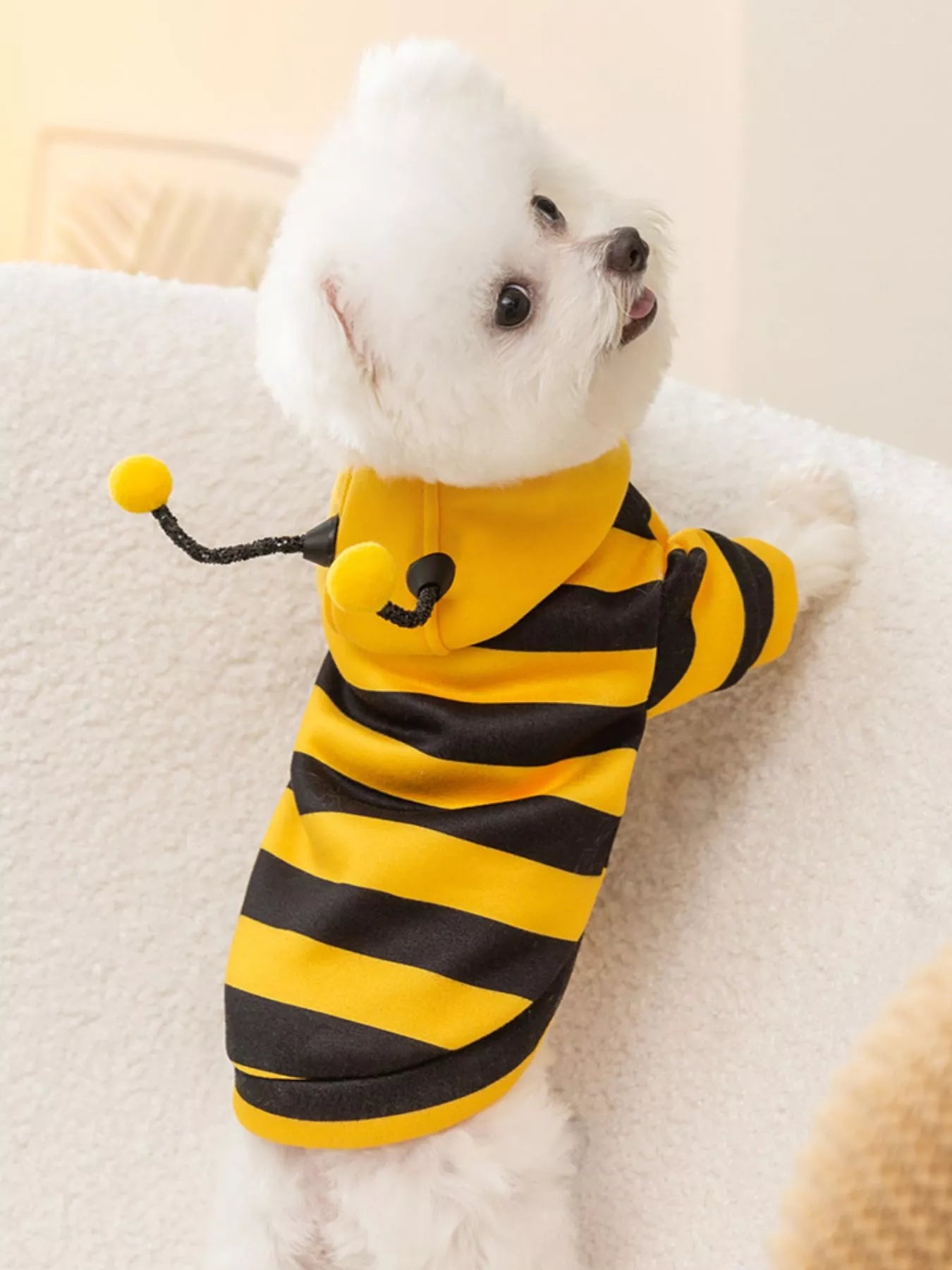 Soft Warm Pet Hoodie