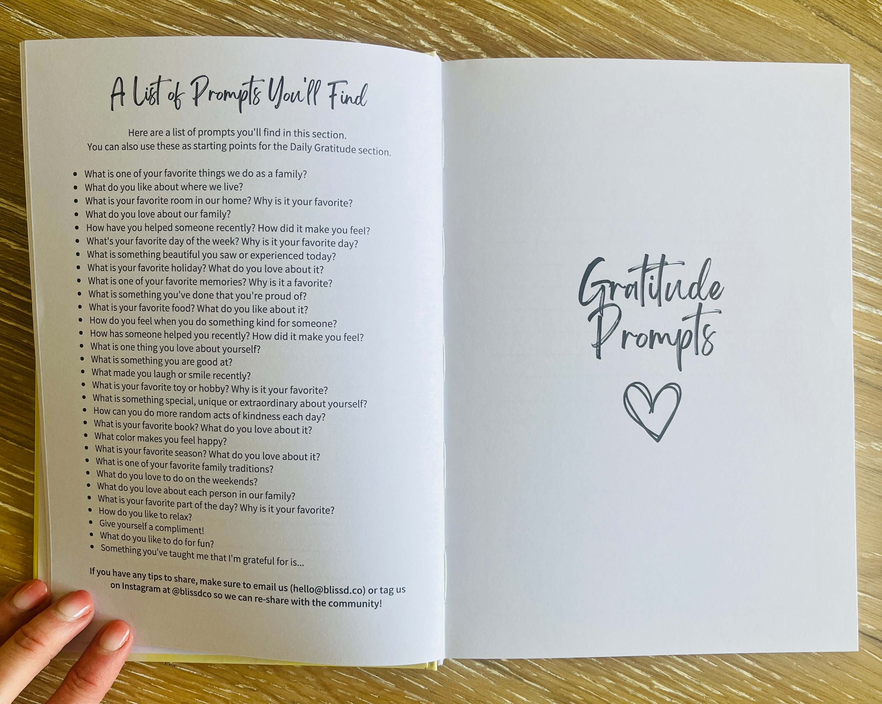 We're So Grateful: A Family Journal